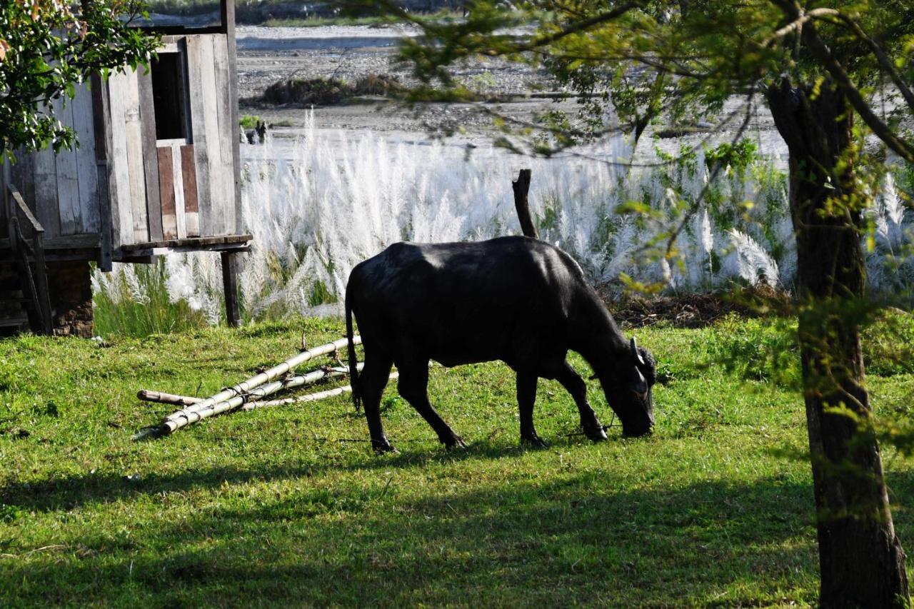 Shanta Ghar A Rustic Guesthouse Chitwan Luaran gambar