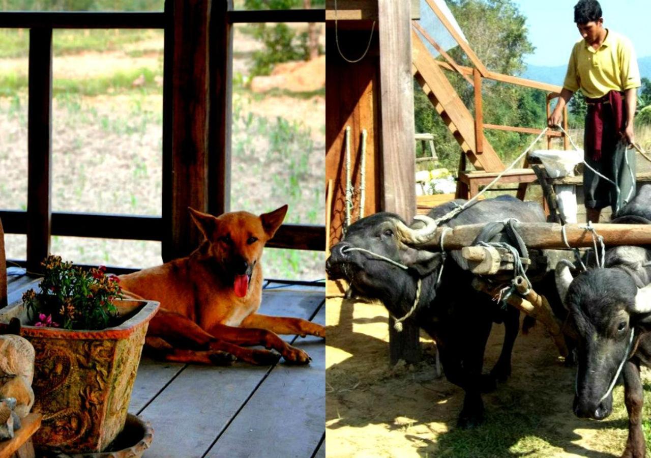 Shanta Ghar A Rustic Guesthouse Chitwan Luaran gambar